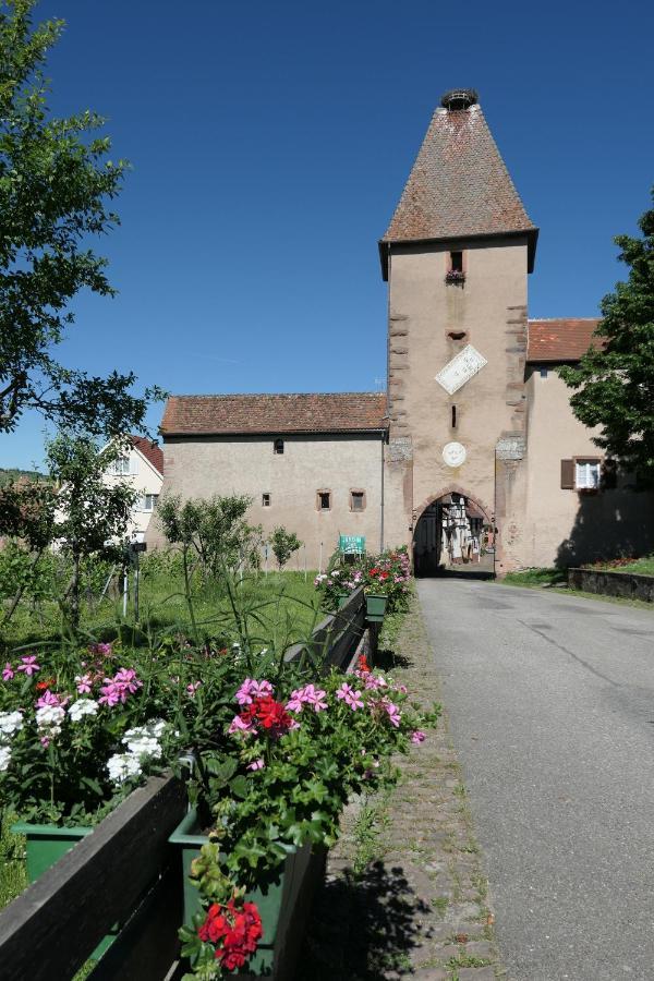 Au Petit Paradis Ammerschwihr Exterior foto